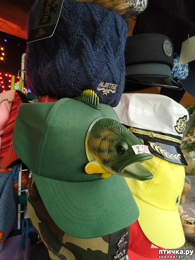 ���� 21: ��������