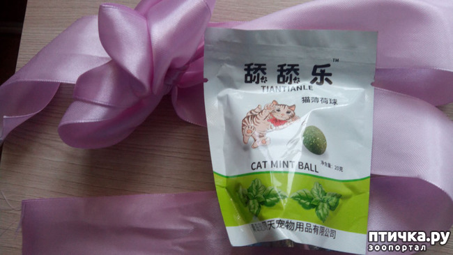 ���� 12: ��� ��� ��!!!