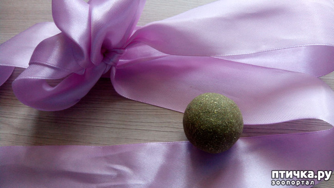 ���� 13: ��� ��� ��!!!