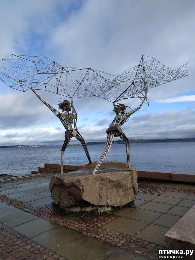 ���� 5: ��������