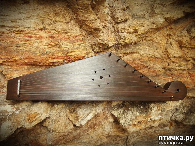 ���� 22: ��������