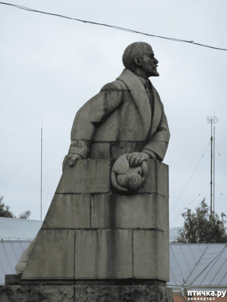 ���� 11: ��������