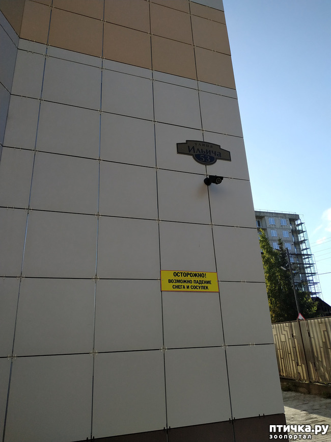 ���� 3: ��������