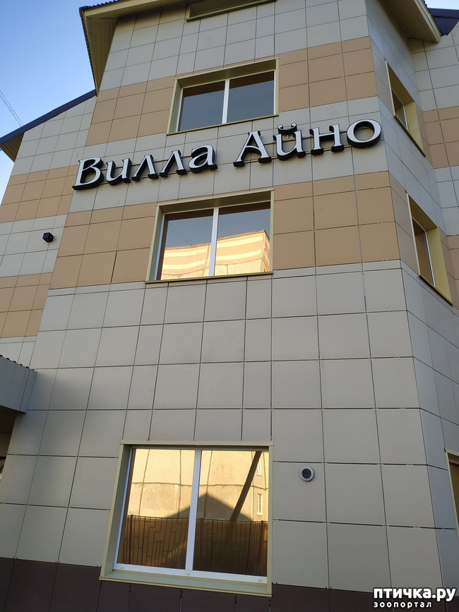 ���� 2: ��������