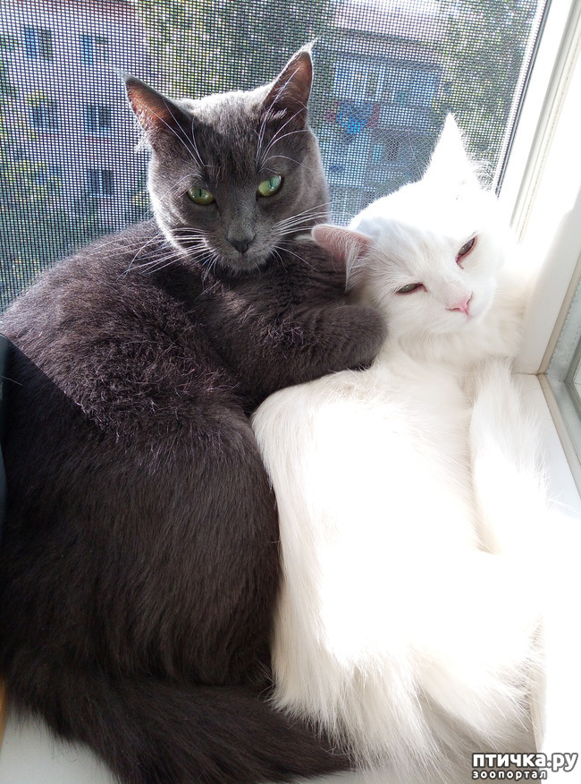 ���� 2: ��� ��� ��!!!