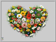 ���� 16: ��� ��� ��!!!