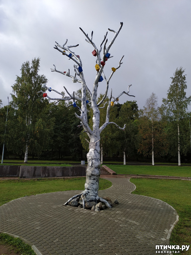 ���� 6: ��������