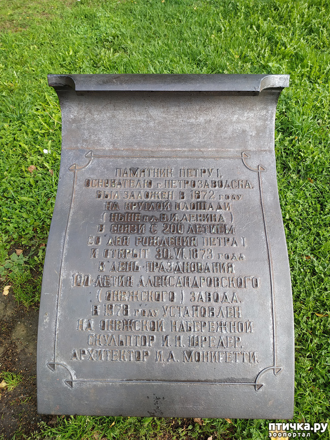 ���� 10: ��������