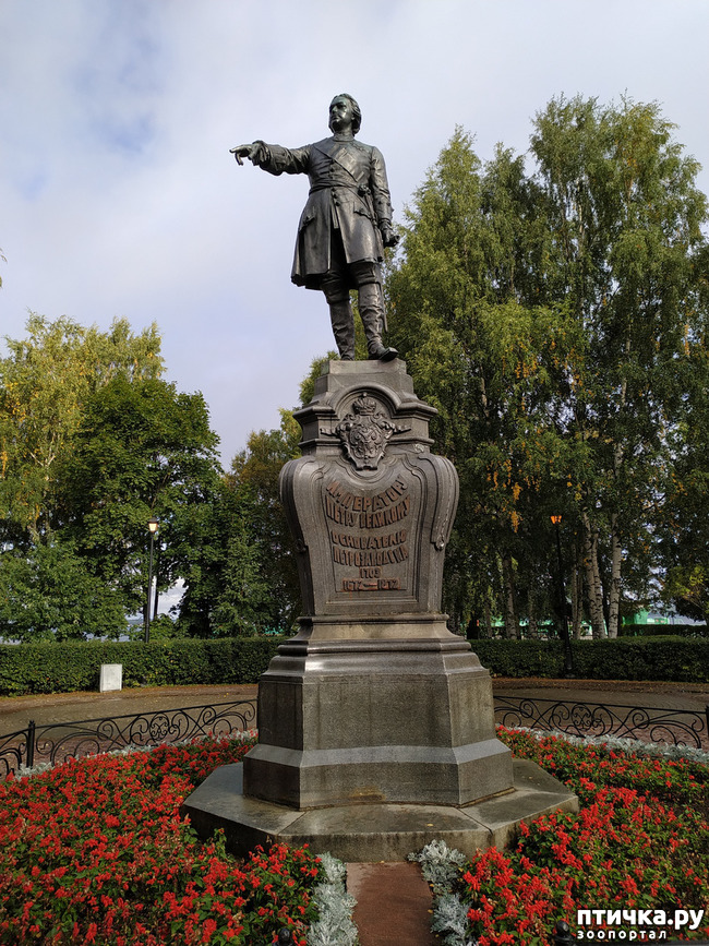 ���� 9: ��������