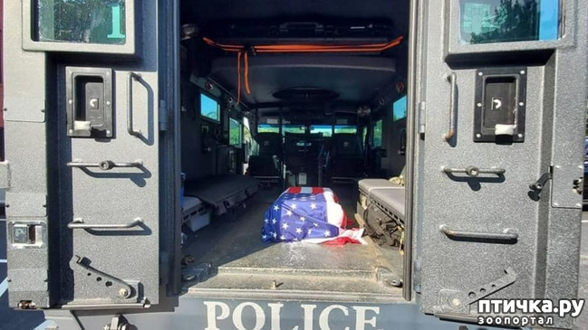 ���� 2: ������� ������� �� ����� ������������� ��������