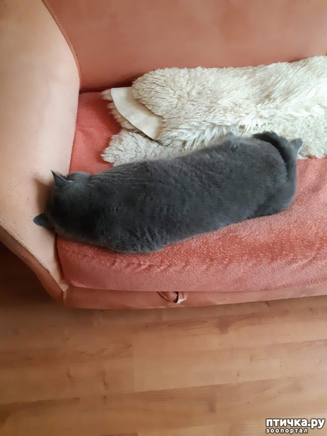 ���� 8: ����������, �����!