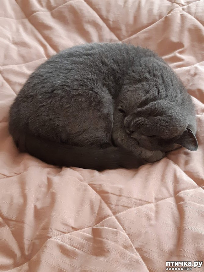 ���� 9: ����������, �����!