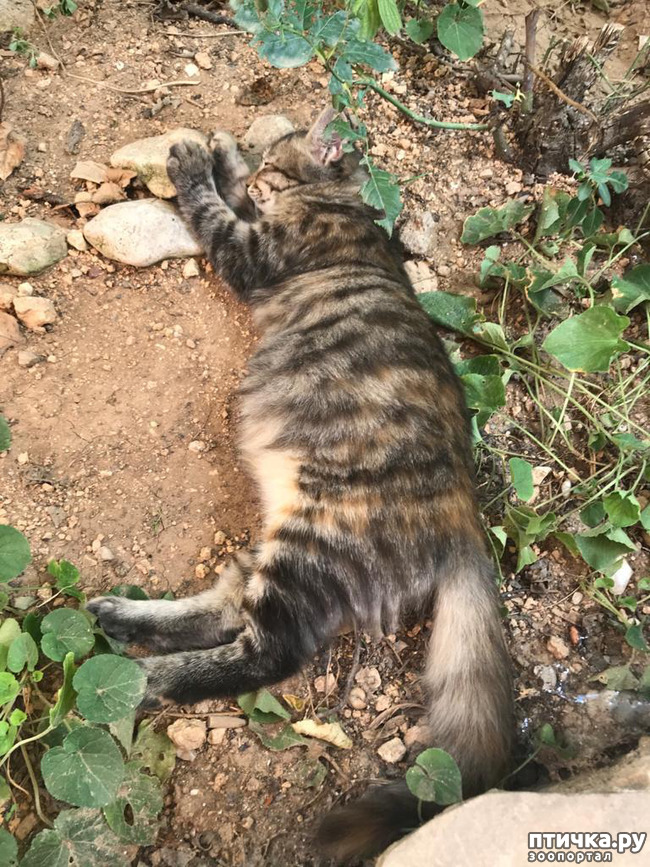 ���� 2: ����� ��������!