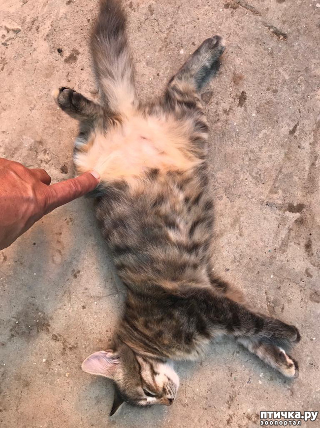 ���� 3: ����� ��������!