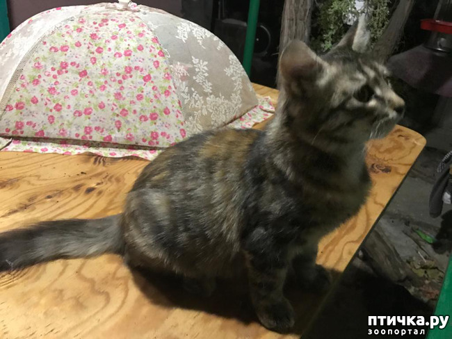 ���� 4: ����� ��������!