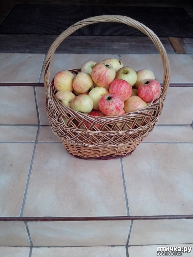 ���� 10: ����������, �����!