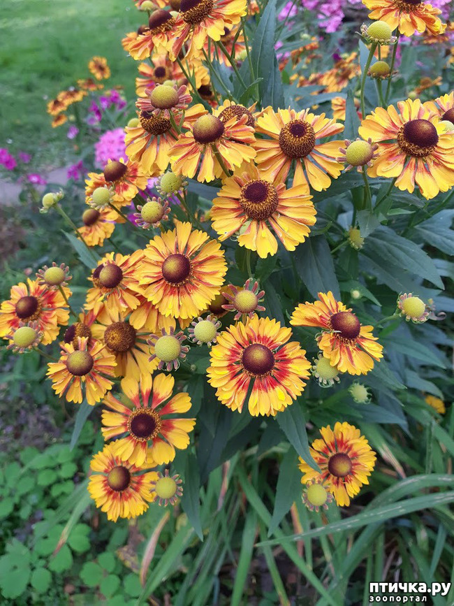 ���� 2: ����������, �����!