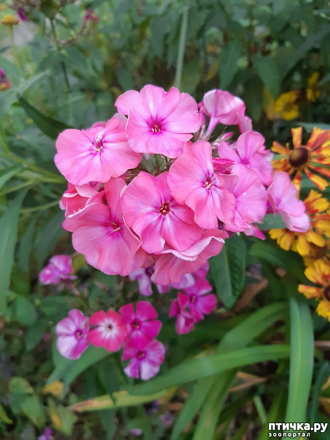 ���� 3: ����������, �����!