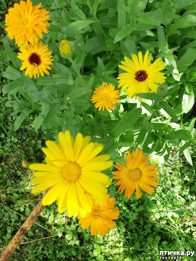 ���� 4: ����������, �����!