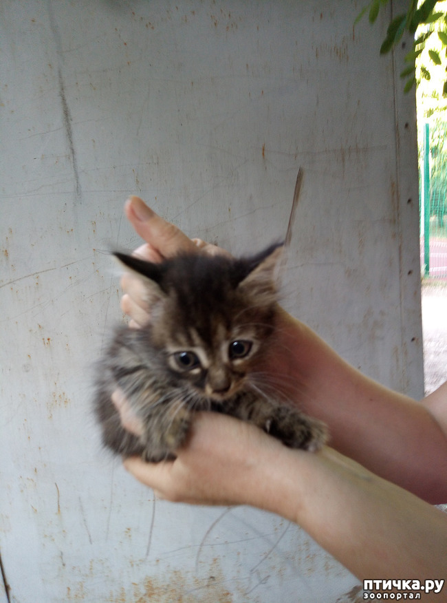 ���� 1: ����� ��������!