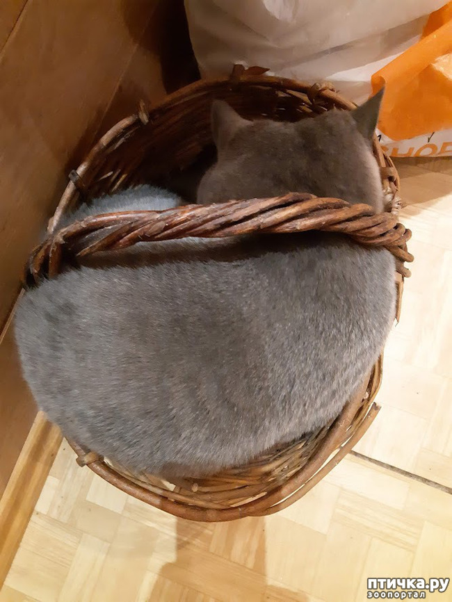 ���� 5: ����������, �����!