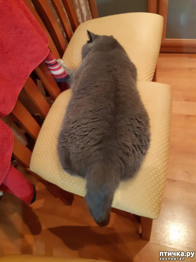 ���� 6: ����������, �����!