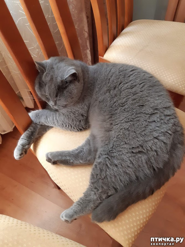 ���� 7: ����������, �����!