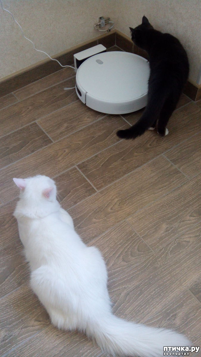 ���� 1: ���� � �������