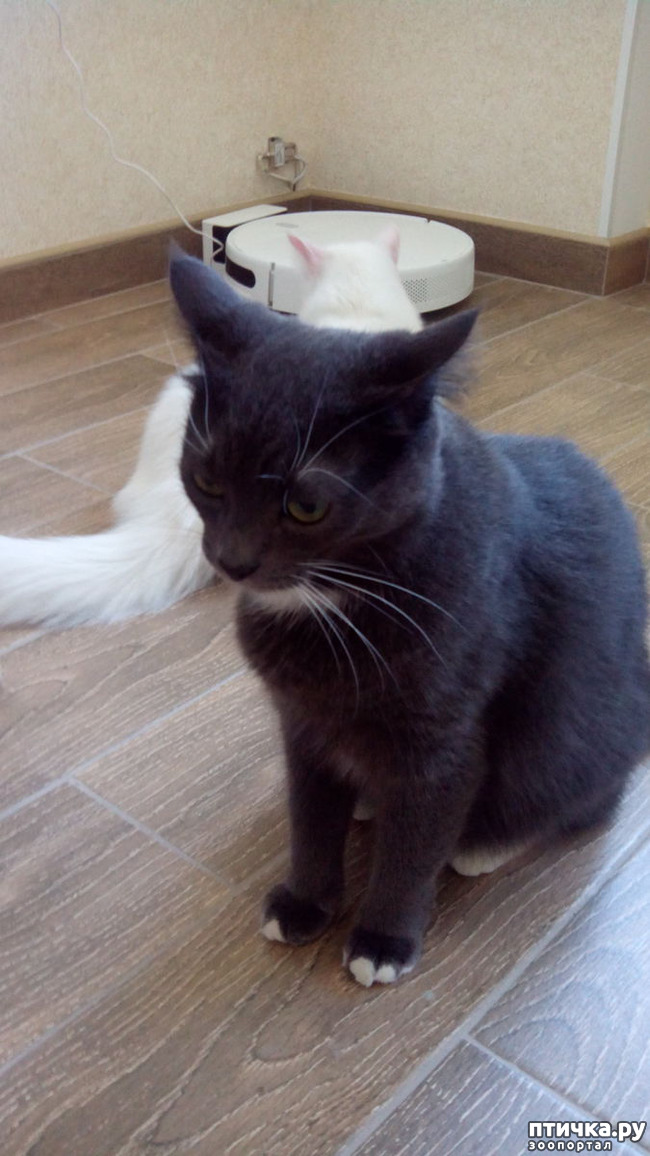 ���� 4: ���� � �������