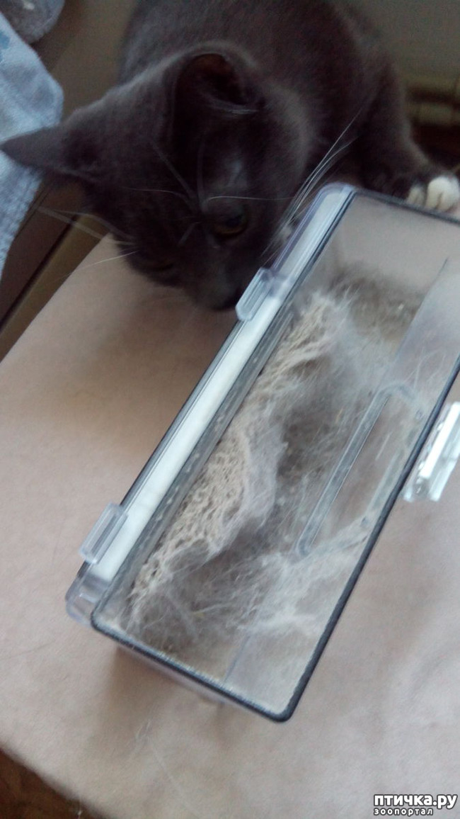 ���� 5: ���� � �������