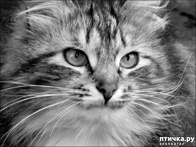 ���� 1: �������! ��������� - ��� ��� �������!