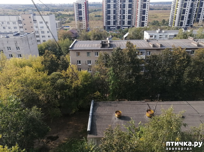 ���� 3: �������� � ��������.