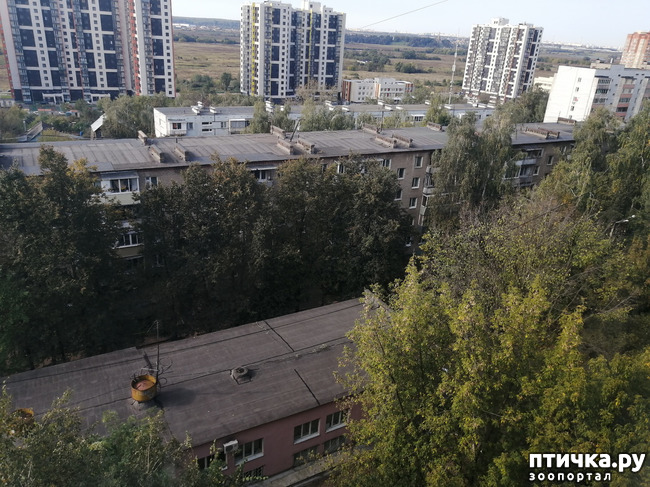 ���� 1: �������� � ��������.