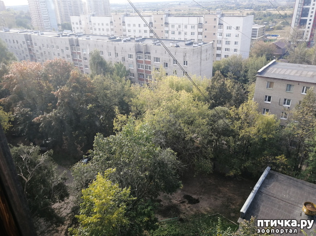 ���� 2: �������� � ��������.