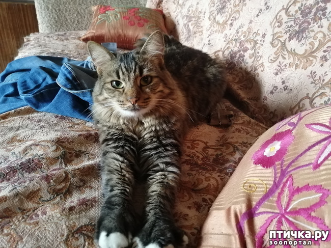 ���� 5: �������� � ��������.