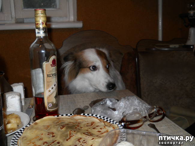 ���� 1: ��� � ���