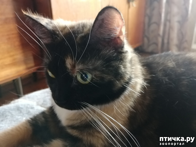 ���� 6: �������� � ��������.