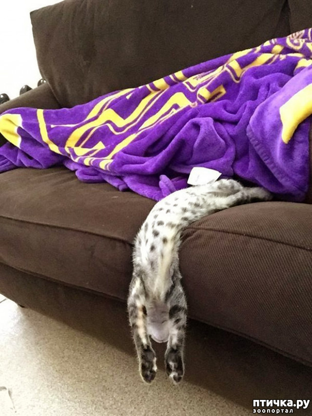 ���� 2: ����������� ��... ������. ����� �� �� ��������?