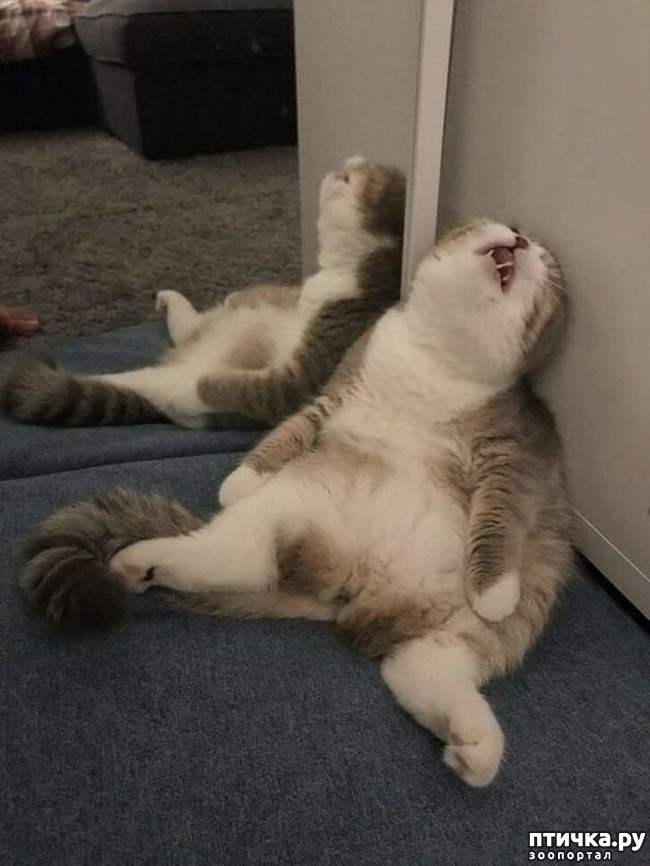 ���� 5: ����������� ��... ������. ����� �� �� ��������?