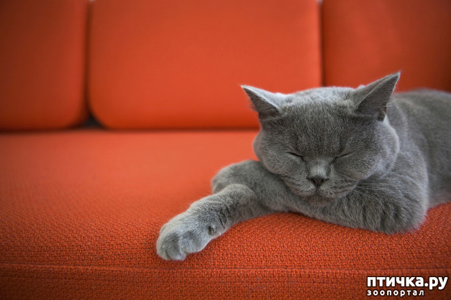 ���� 9: ����������� ��... ������. ����� �� �� ��������?