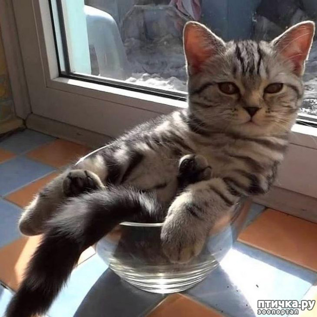 ���� 10: ����������� ��... ������. ����� �� �� ��������?