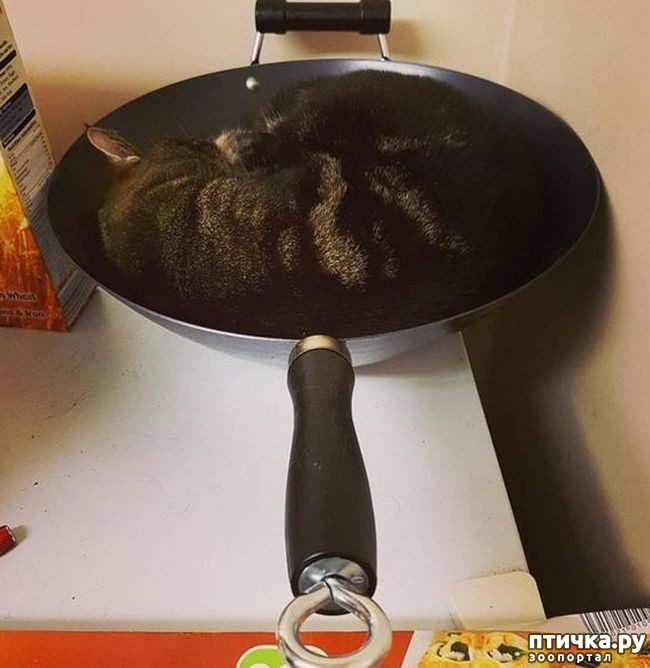 ���� 11: ����������� ��... ������. ����� �� �� ��������?