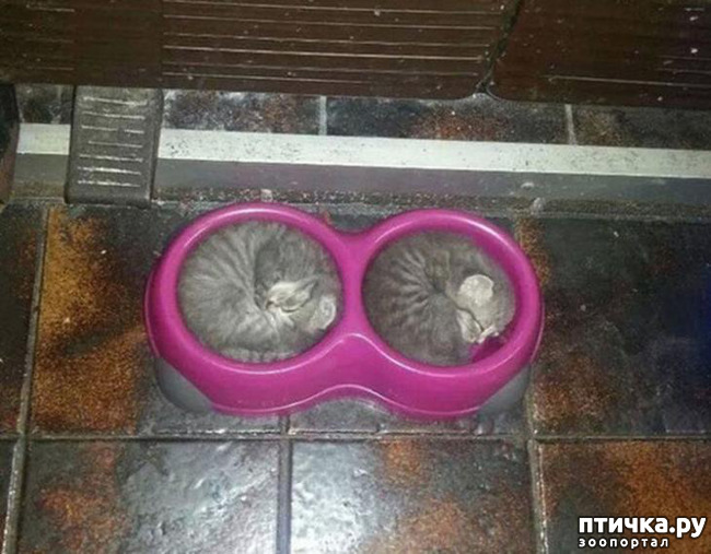 ���� 13: ����������� ��... ������. ����� �� �� ��������?