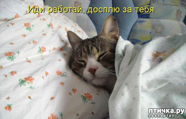 ���� 16: ����������� ��... ������. ����� �� �� ��������?