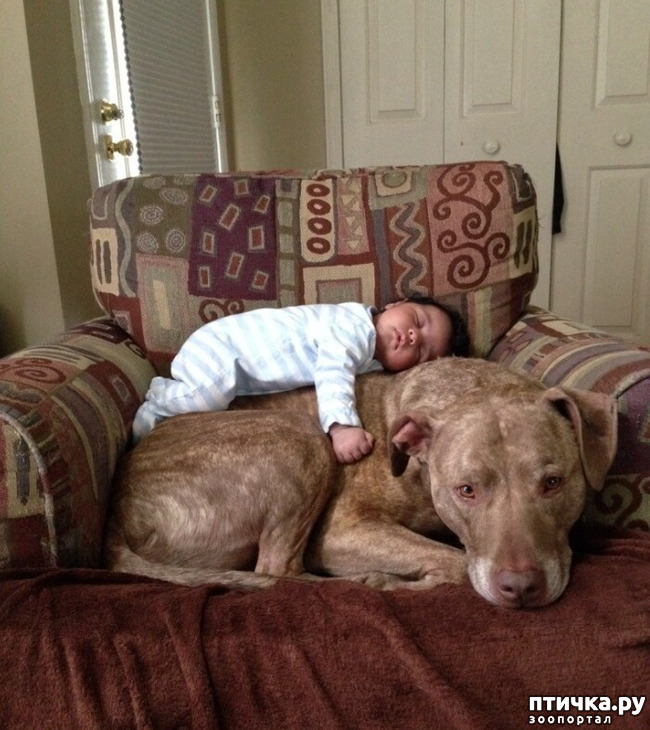 ���� 2: ������ � ����