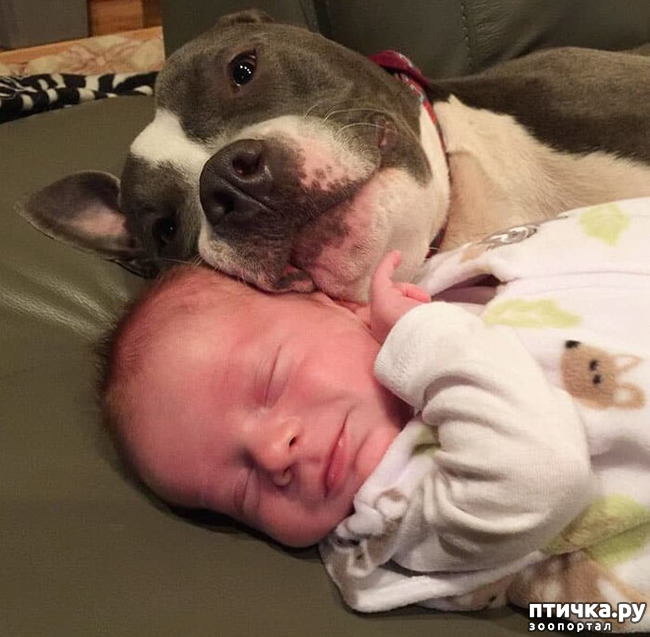 ���� 3: ������ � ����