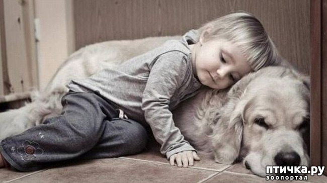 ���� 5: ������ � ����