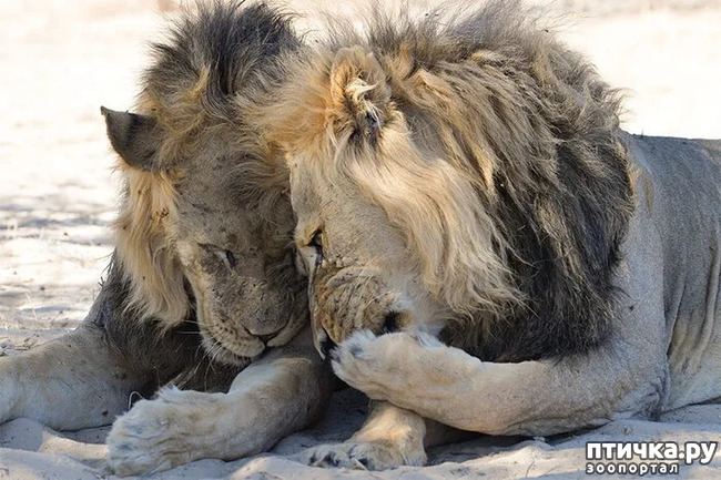 ���� 27: ������ ���������� ���������� ����� ������� - 2020