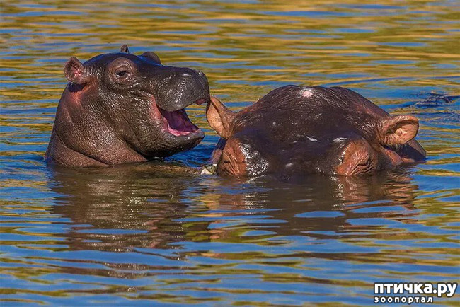 ���� 26: ������ ���������� ���������� ����� ������� - 2020