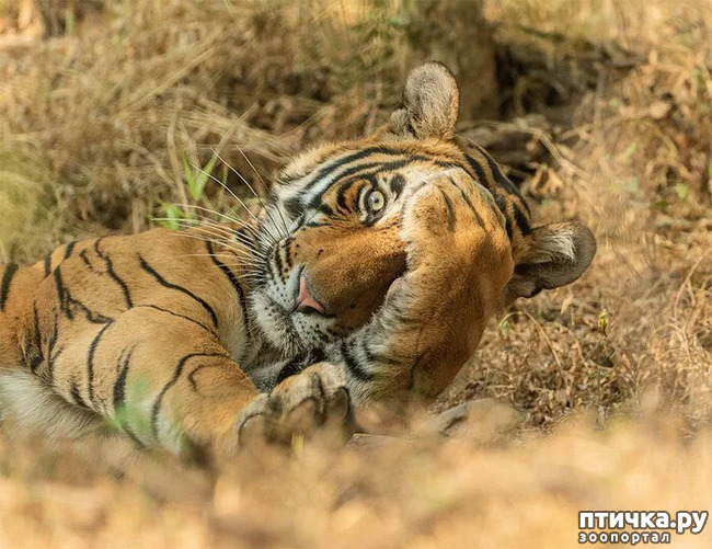 ���� 25: ������ ���������� ���������� ����� ������� - 2020